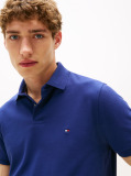 Blue 1985 Organic Cotton Regular Fit Polo  Men