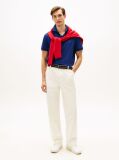 Blue 1985 Organic Cotton Regular Fit Polo  Men