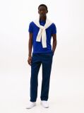 Blue 1985 Organic Cotton Regular Fit Polo  Men