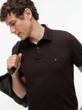 Brown 1985 Organic Cotton Regular Fit Polo  Men