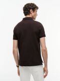 Brown 1985 Organic Cotton Regular Fit Polo  Men
