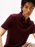 Red 1985 Organic Cotton Regular Fit Polo  Men