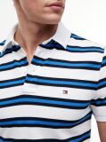 Multi 1985 Organic Cotton Slim Fit Polo  Men