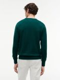 Green Cotton Cashmere Crew Neck Jumper.  Men