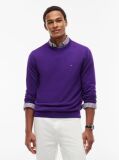 Purple Cotton Cashmere Crew Neck Jumper.  Men