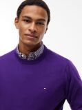 Purple Cotton Cashmere Crew Neck Jumper.  Men