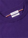Purple Cotton Cashmere Crew Neck Jumper.  Men
