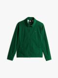 Πράσινο Ελαφρύ Ivy Jacket Σε Κανονική Γραμμή  Άνδρες