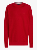 Red Boxy Crew Neck Sweatshirt  Men