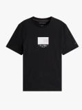 Black Ithaca Stripe Flag T-Shirt  Men
