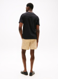 Black Ithaca Stripe Flag T-Shirt  Men