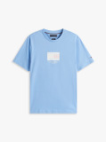 Blue Ithaca Stripe Flag T-Shirt  Men