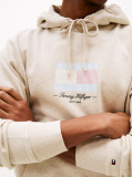 Μπεζ Hoodie Με Σημαιάκι  Άνδρες