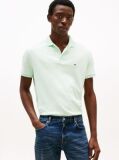 Green Regular Fit Polo Shirt  Men