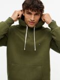 Green Flag Embroidery Fleece Hoody  Men