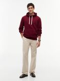 Red Flag Embroidery Fleece Hoody  Men