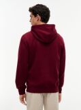Red Flag Embroidery Fleece Hoody  Men