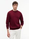 Κόκκινο Essential Fleece Φούτερ  Άνδρες
