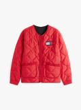 Multi The APXGP Collection Quilted Reversible Liner Jacket  Men