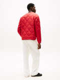 Multi The APXGP Collection Quilted Reversible Liner Jacket  Men
