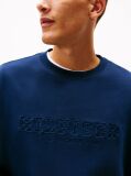 Blue Logo Terry Crew Neck Sweatshirt  Men