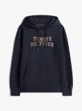 Blue Logo Graphic Hoody  Men