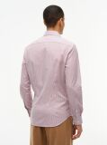 Red Slim Fit Stripe Shirt  Men