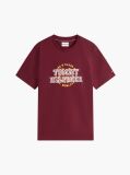 Κόκκινο Βαμβακερό T-Shirt Με Varsity Λογότυπο  Άνδρες