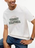 Μπεζ Βαμβακερό T-Shirt Με Varsity Λογότυπο  Άνδρες