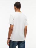 Μπεζ Βαμβακερό T-Shirt Με Varsity Λογότυπο  Άνδρες