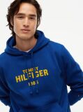 Μπλε Fleece Hoody Με Κεντητό Λογότυπο  Άνδρες