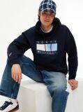 Blue Washed Flag Logo Fleece Relaxed Hoody  Men