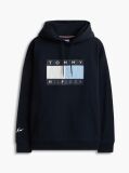 Blue Washed Flag Logo Fleece Relaxed Hoody  Men