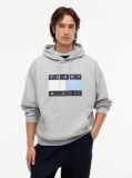 Grey Washed Flag Logo Fleece Relaxed Hoody  Men