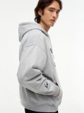 Grey Washed Flag Logo Fleece Relaxed Hoody  Men