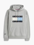 Grey Washed Flag Logo Fleece Relaxed Hoody  Men