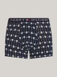 Blue Print Trunks  Men