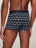 Blue Print Trunks  Men