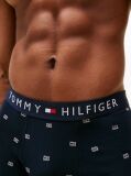 Blue Print Trunks  Men
