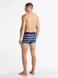 Multi Print Trunks  Men
