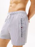 Multi Original Ithaca Stripe Mid Length Swim Shorts  Men