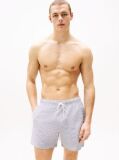 Multi Original Ithaca Stripe Mid Length Swim Shorts  Men