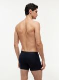 Multi 3-Pack TH Original Logo Boxer Briefs  Men