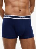 Multi 3-Pack Signature Logo Waistband Trunks  Men