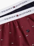 Multi 2-Pack Signature Logo Print Loose Boxer Shorts  Men