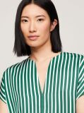 Multi Fluid Stripe V-Neck Short Sleeve Blouse  Women