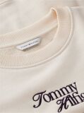 Beige Logo Relaxed Terry Sweatshirt  Women