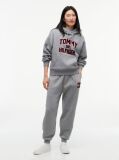 Γκρι Άνετο Fleece Hoody Με Varsity Λογότυπο  Γυναίκες