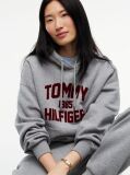 Γκρι Άνετο Fleece Hoody Με Varsity Λογότυπο  Γυναίκες
