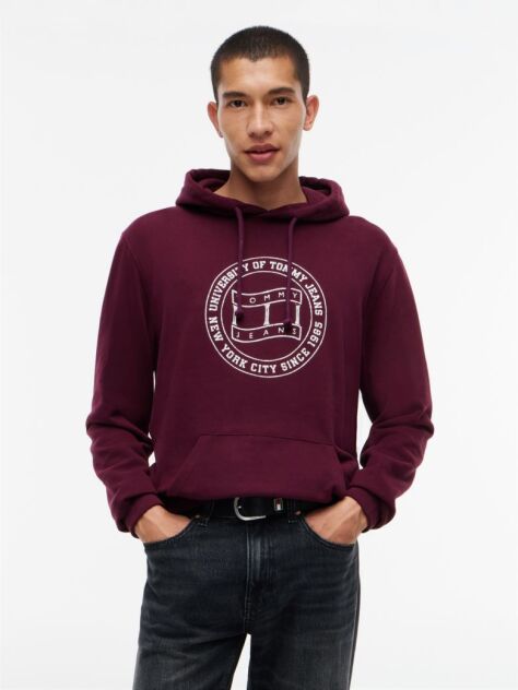 Purple Wavy Flag Graphic Terry Drawstring Hoody  Men